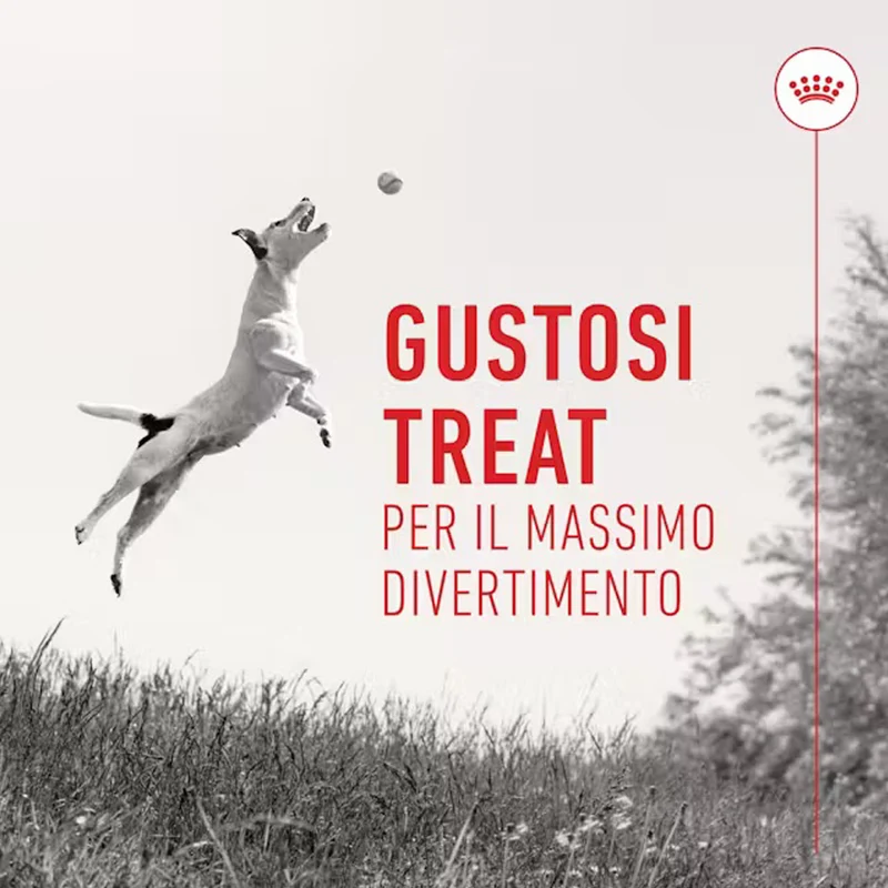 Royal Canin Training Treats 110g | Snack Addestramento Basso Contenuto Calorico