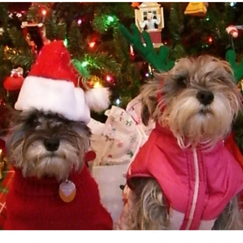 Cappellino di Natale per Cani e Gatti – Cappello Babbo Natale per Cuccioli – Costume Natalizio Accessorio Feste Capodanno