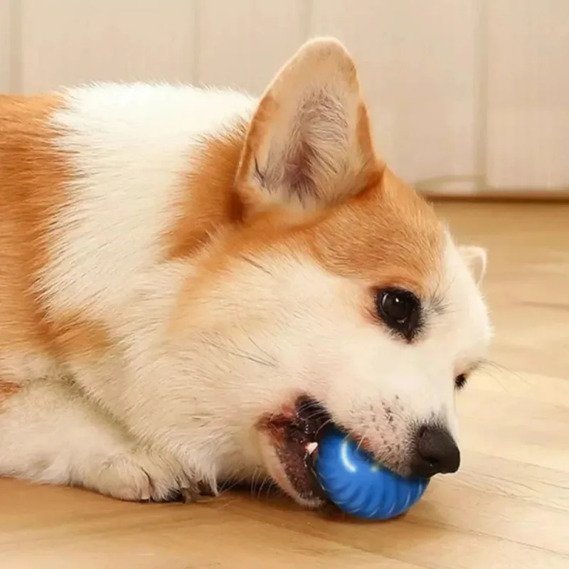 Pallina Giocattolo Automatica per Cani – Palla Interattiva Semovente e Rimbalzante, Ricaricabile USB, Gioco Intelligente per Cuccioli