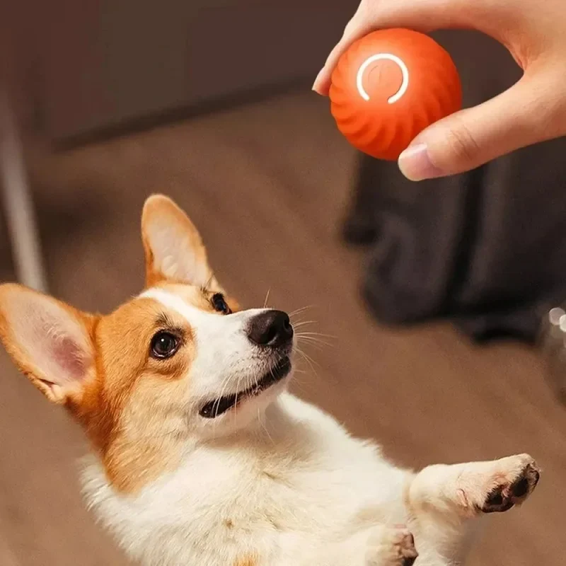 Pallina Giocattolo Automatica per Cani – Palla Interattiva Semovente e Rimbalzante, Ricaricabile USB, Gioco Intelligente per Cuccioli