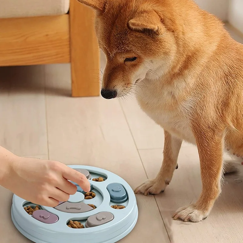 Ciotola Gioco Educativo Interattivo "Slow Feeder" per Cani | Anti-Ingozzamento e Anti-Noia