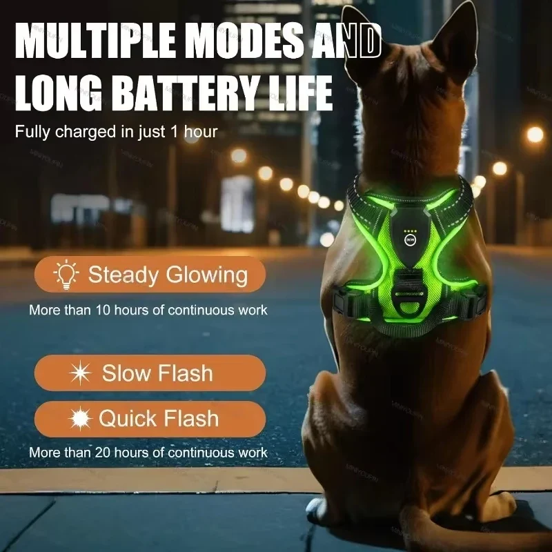 Pettorina per Cani con Led Ricaricabile – Imbracatura Luminosa Riflettente e Traspirante per Passeggiate Notturne Sicure