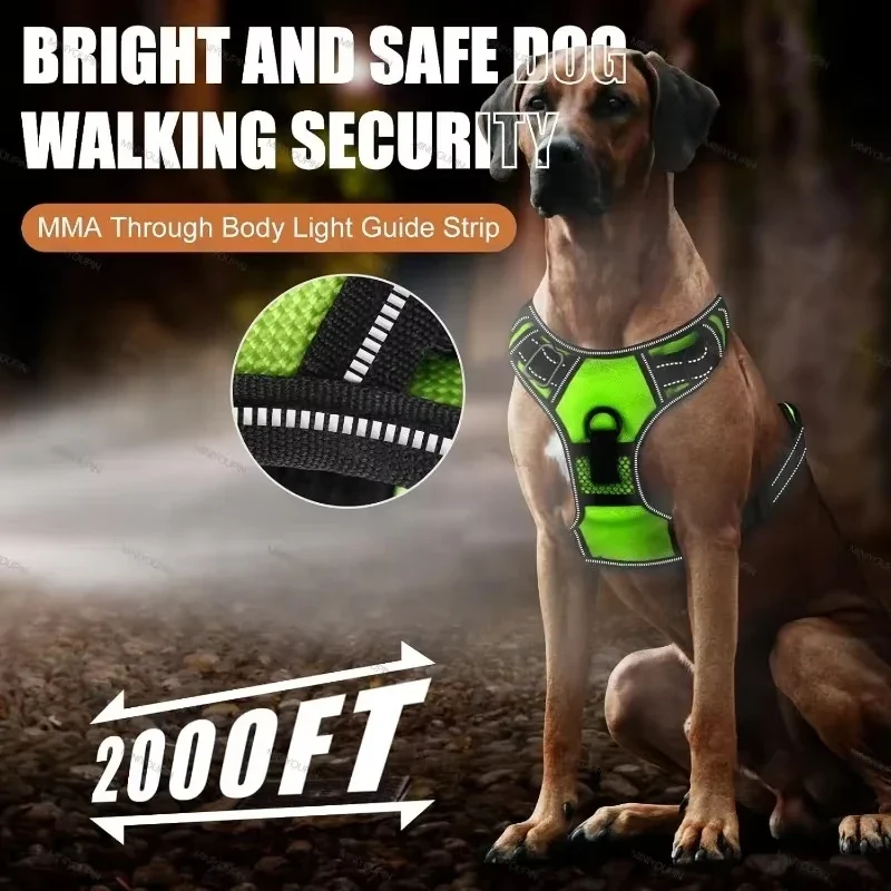 Pettorina per Cani con Led Ricaricabile – Imbracatura Luminosa Riflettente e Traspirante per Passeggiate Notturne Sicure