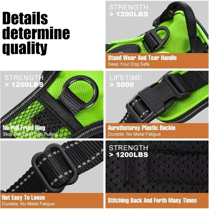 Pettorina per Cani con Led Ricaricabile – Imbracatura Luminosa Riflettente e Traspirante per Passeggiate Notturne Sicure