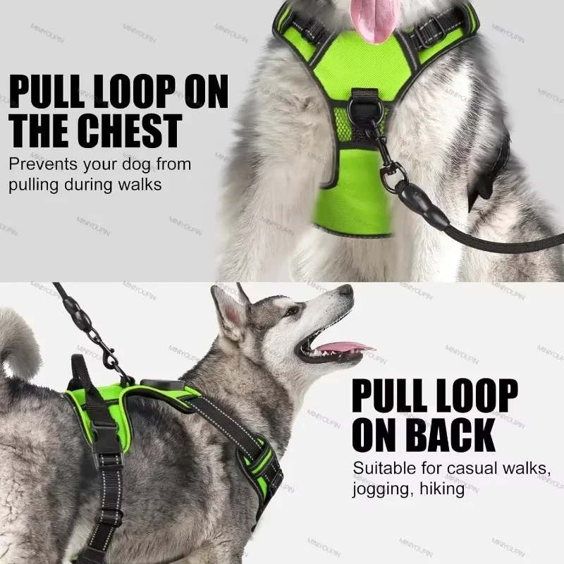 Pettorina per Cani con Led Ricaricabile – Imbracatura Luminosa Riflettente e Traspirante per Passeggiate Notturne Sicure