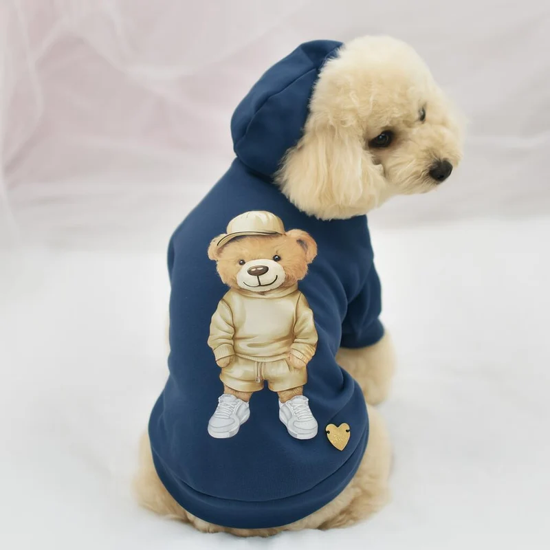 Felpa "Cool Teddy" - Pet Chérie