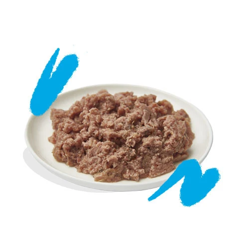Edgard & Cooper Umido Gatto BIO Adult Salmone Pollo e Semi di Chia PATÈ
