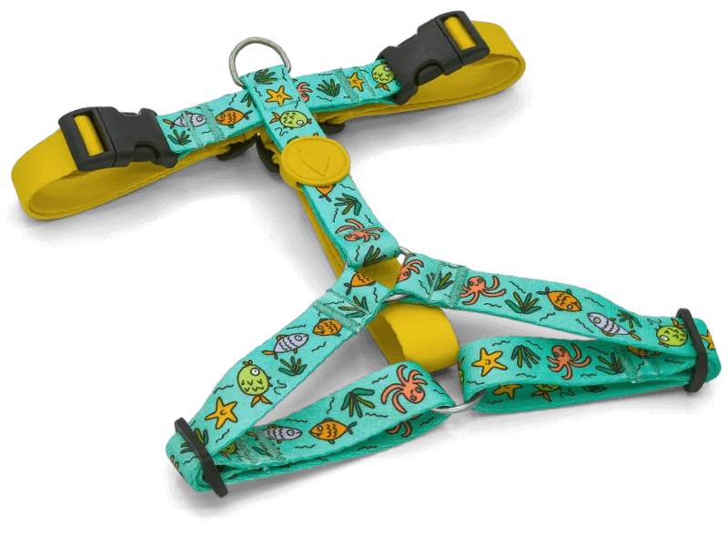 Pettorina H "Ocean Trek" Recycled - Morso