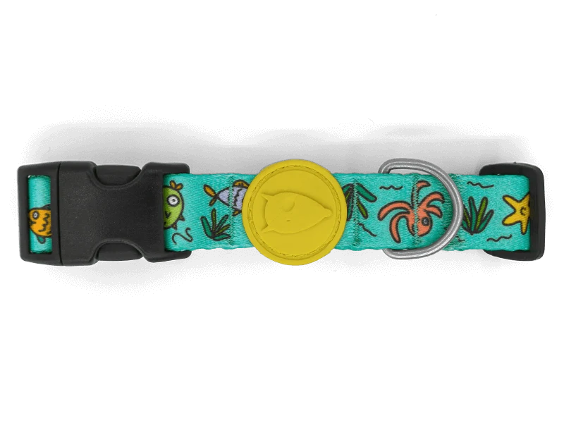 Collare "Ocean Trek" Recycled - Morso