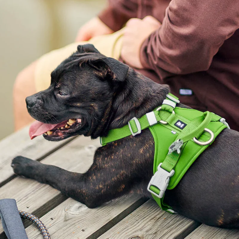 Pettorina ''Weekend Warrior 2 Eco'" - Hurtta
