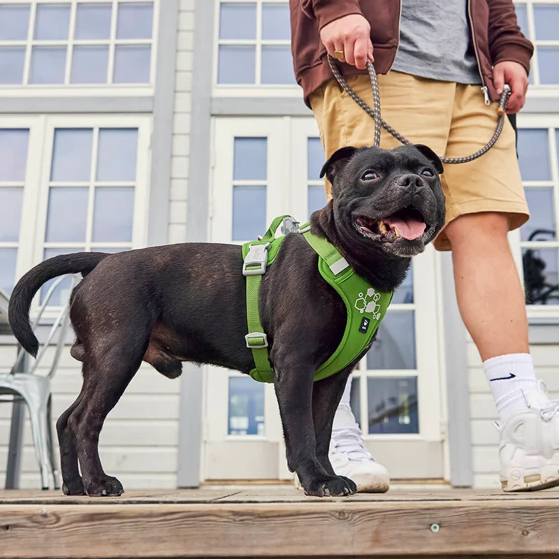 Pettorina ''Weekend Warrior 2 Eco'" - Hurtta