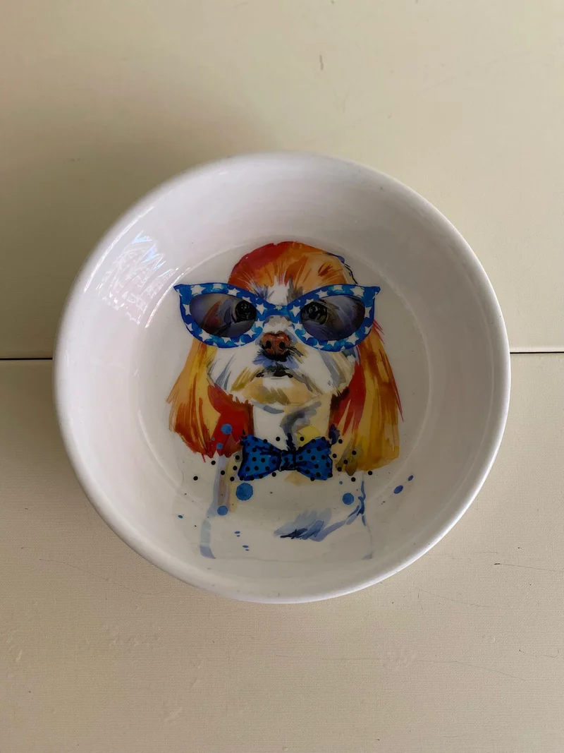 Ciotole "Colorful Dog" - Da Tommy Pet Boutique