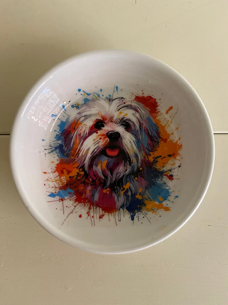 Ciotole "Colorful Dog" - Da Tommy Pet Boutique