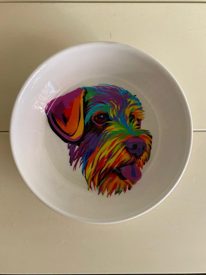 Ciotole "Colorful Dog" - Da Tommy Pet Boutique