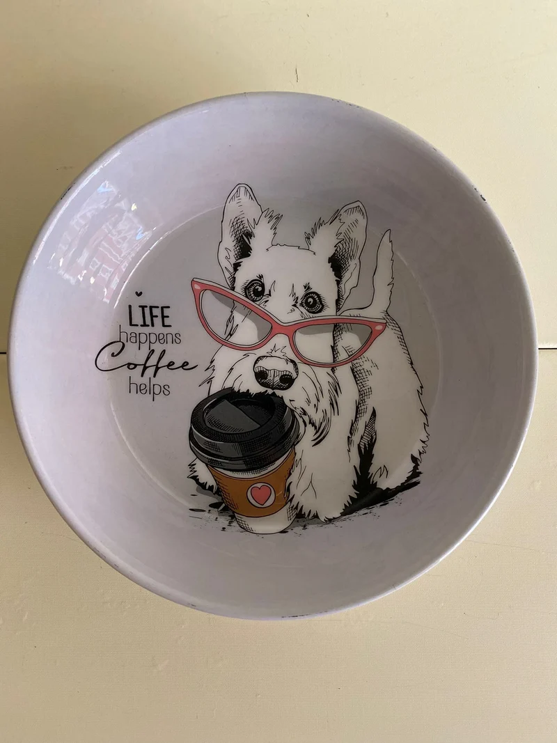 Ciotole "Colorful Dog" - Da Tommy Pet Boutique