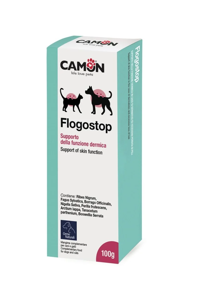 Flogostop - Camon