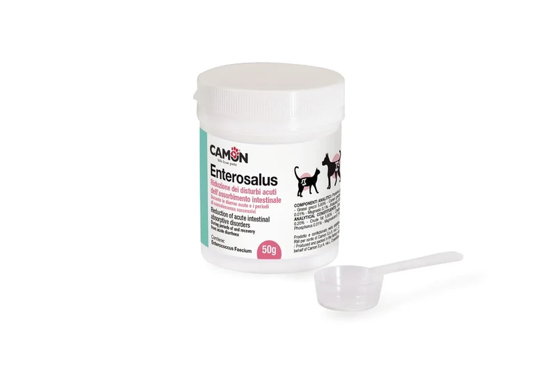 Enterosalus polvere - Camon