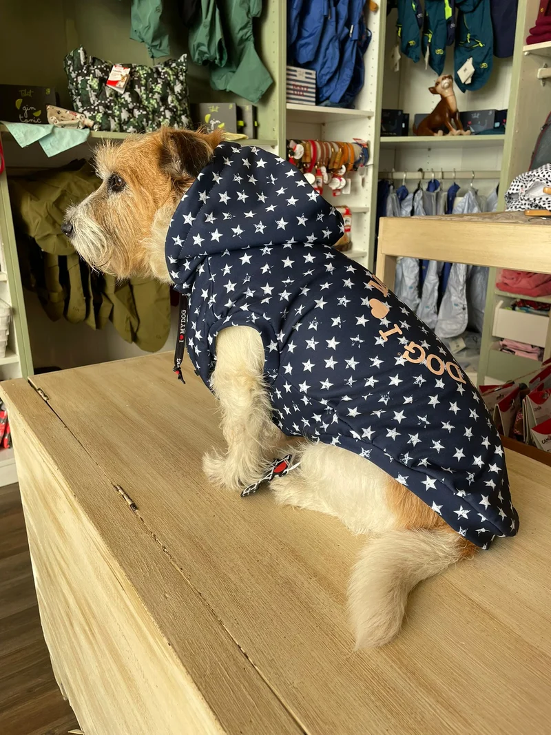 Felpa "Sweety Print Dove Star" - I Love My Dog