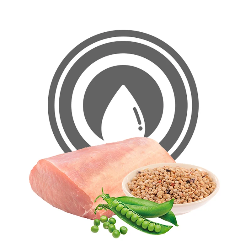 Exclusion Diabetic Pork & Sorghum And Pea All Breeds Alimento per Cani 400g