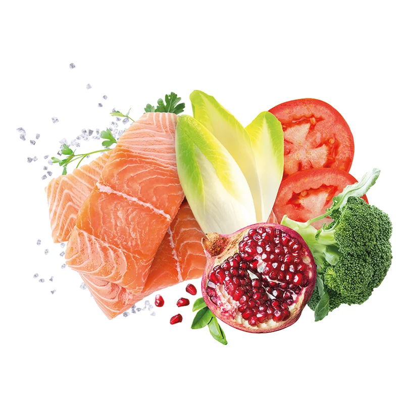 Exclusion Adult Salmone All Breeds Alimento Umido per Cani Adulti 400g