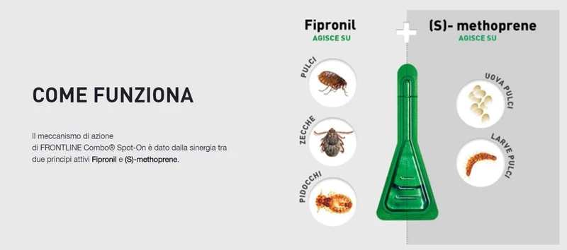 Frontline Combo Spot On Gatto 0,5ml