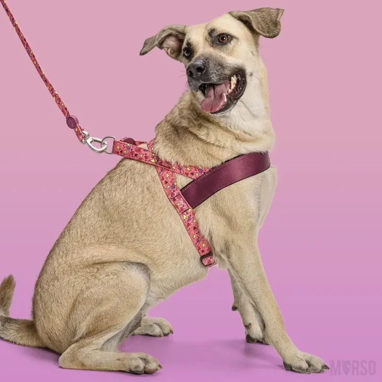 Pettorina norvegese "Pink Think" - Morso
