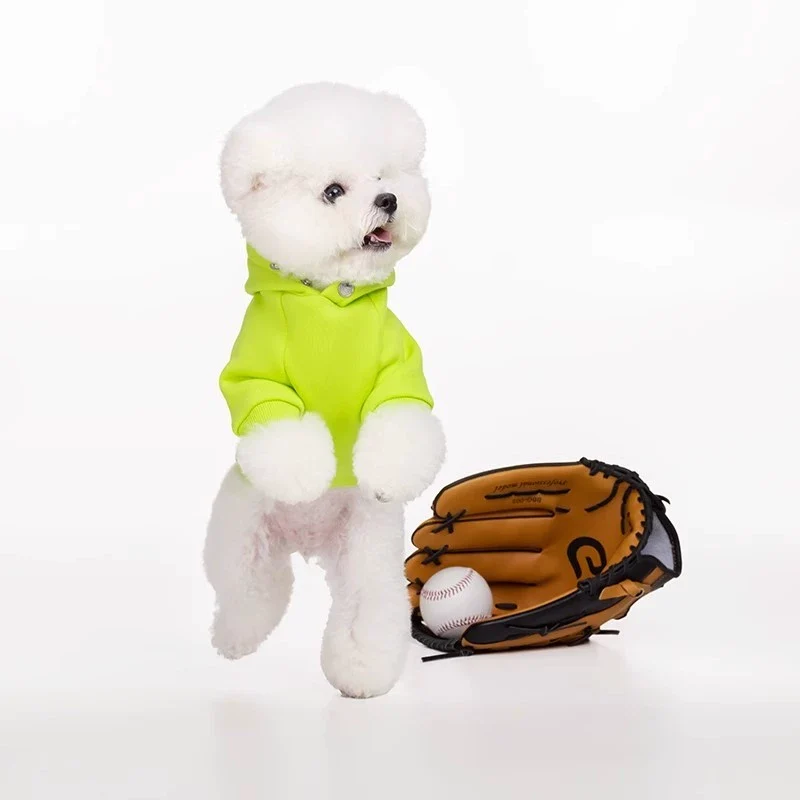 Sniff Pet Dog Cat Autumn and Winter Clothes Two-Legged Sweater Teddy Bichon Schnauzer Small and Medium-Sized Dogs Clothes