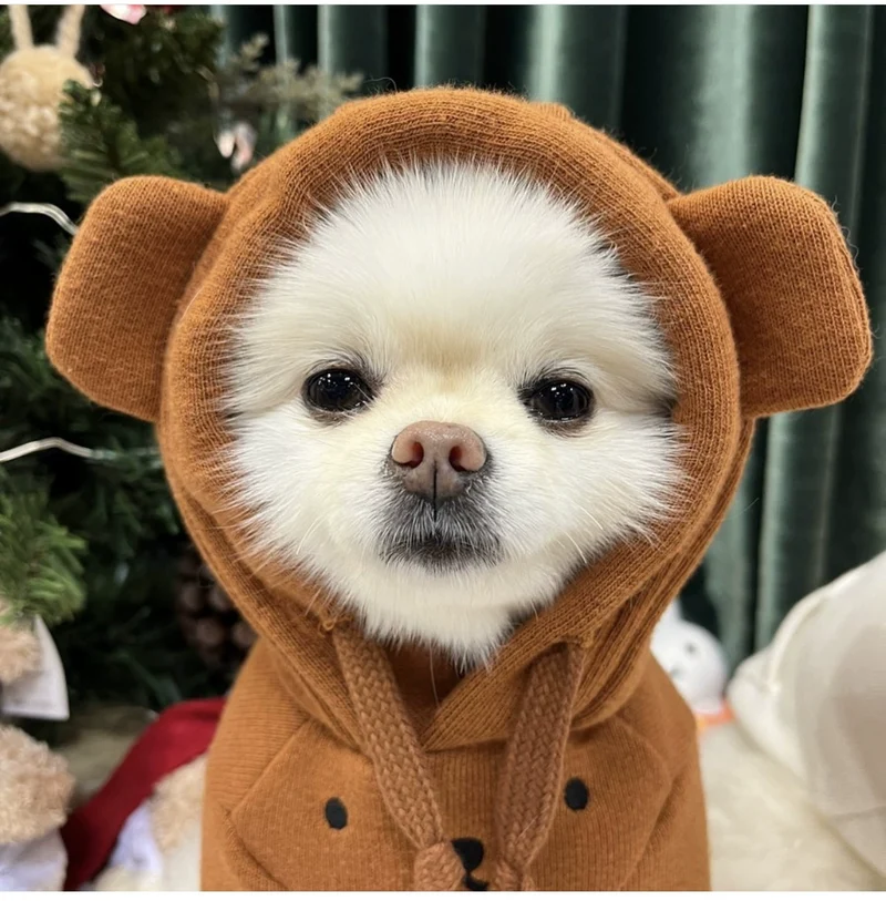 Winter Pet Cat and Dog Ins Cute Rabbit Bear Ears Hoodie Velvet Thickened Soft Glutinous Warmth Retention Material Sweater