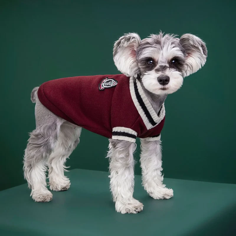 College Style Pet Dog Sweater Winter Warm Dog Clothes for Small Medium Dogs Puppy Cat Vest Chihuahua French Bulldog Yorkie Coat