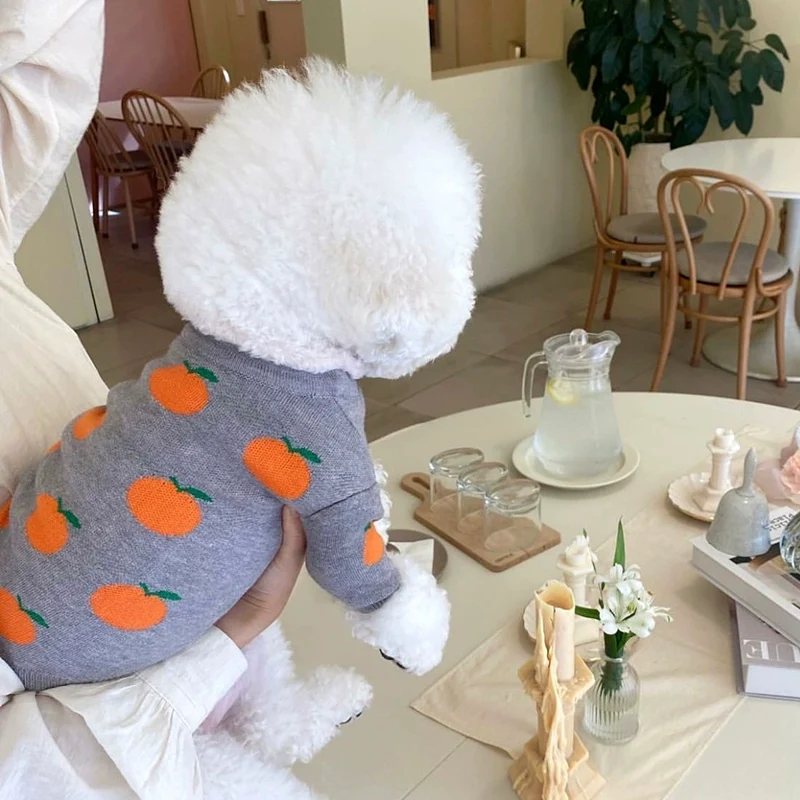 Pet Schnauzer Knitted Sweater Autumn and Winter Clothing Teddy Cat Cat Bichon Small Size Dogs VIP Pomeranian Dog Clothes