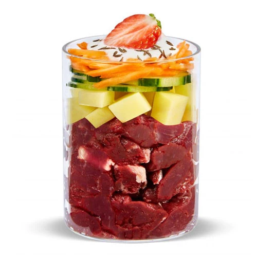 Terra Canis SENSITIVE Cavallo con Cetriolo e Fragola Umido Per Cani