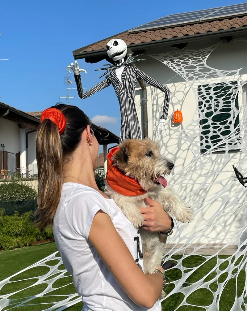 Paraorecchie Morbido Velluto - Da Tommy Pet boutique
