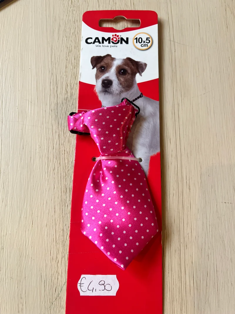 Cravattino - Camon