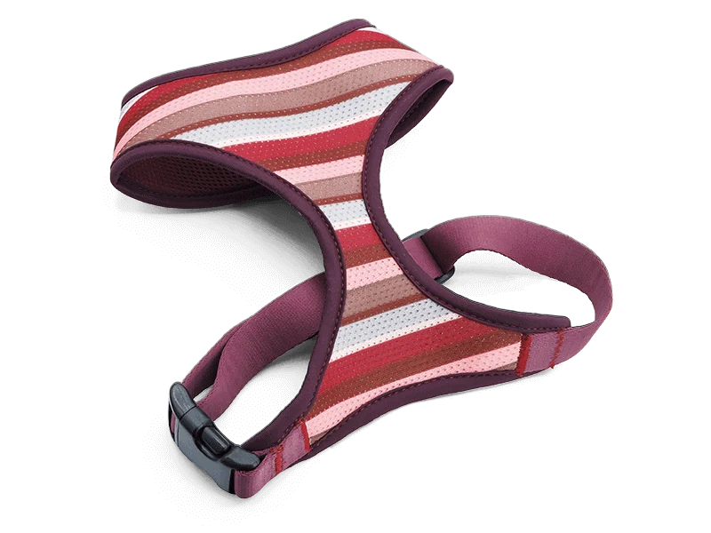 Pettorina Airmesh "Skyline" Recycled - Morso