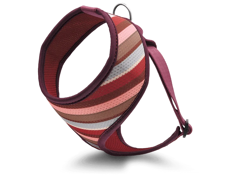 Pettorina Airmesh "Skyline" Recycled - Morso