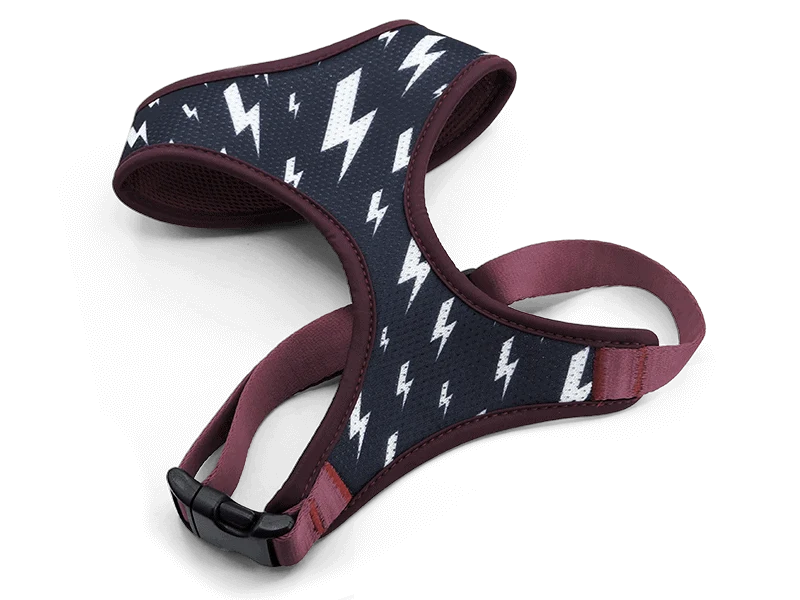 Pettorina Airmesh "Power Flow" Recycled - Morso