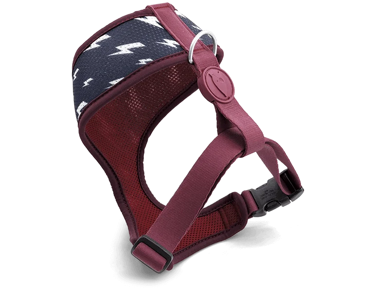 Pettorina Airmesh "Power Flow" Recycled - Morso