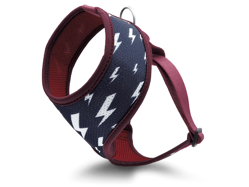 Pettorina Airmesh "Power Flow" Recycled - Morso