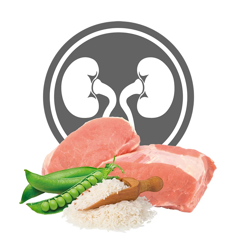 Exclusion Renal Phase II Cat Pork & Pea And Rice Alimento per Gatti 300g