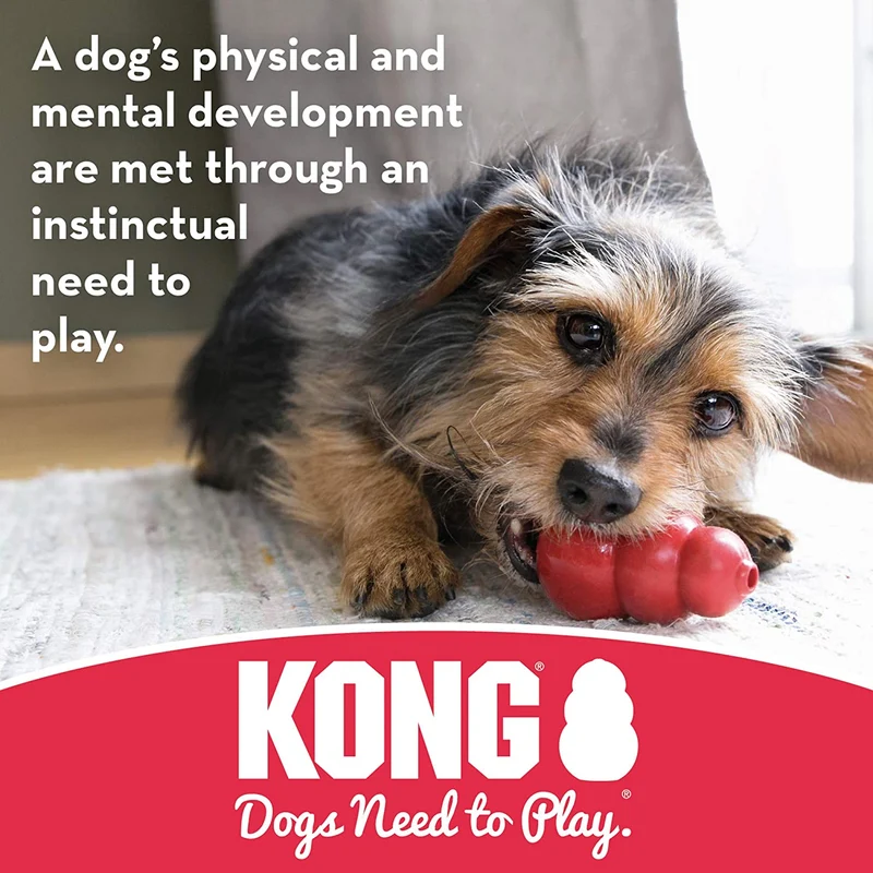 KONG Extreme Goodie Bone Large Gomma Naturale