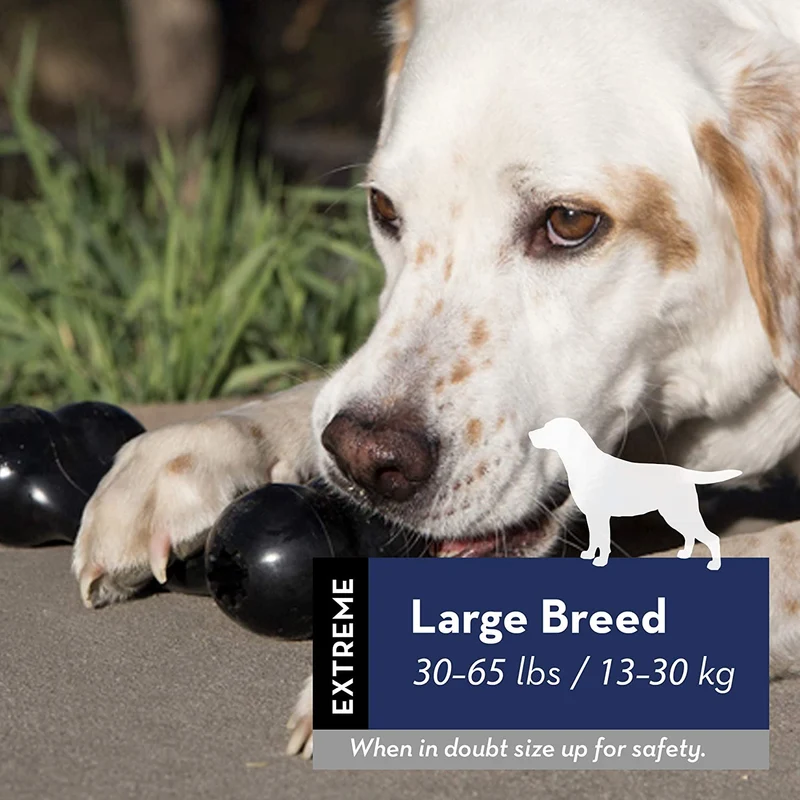 KONG Extreme Goodie Bone Large Gomma Naturale