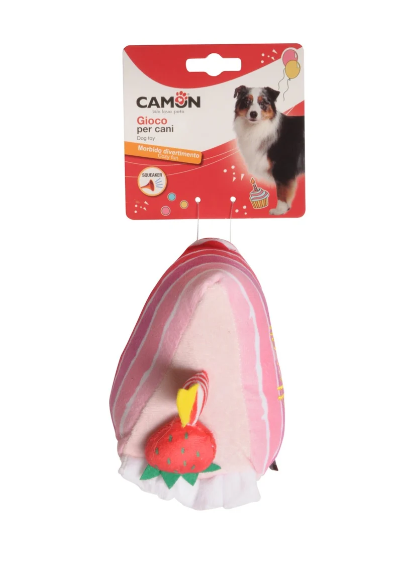 Gioco “Happy Birthday” - Camon