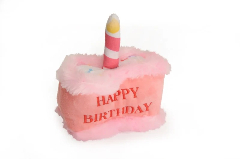 Gioco “Happy Birthday” - Camon