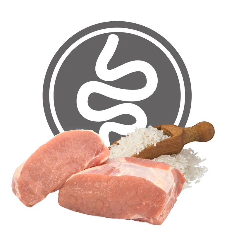 Exclusion Intestinal Cat Pork & Rice Alimento per Gatti Gastrointestinal 1,5 kg