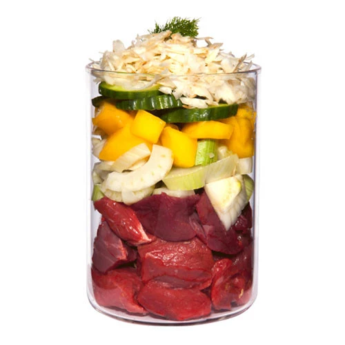 Terra Canis LIGHT Manzo con Zucca, Mango e Carciofo Umido Dietetico Per Cani