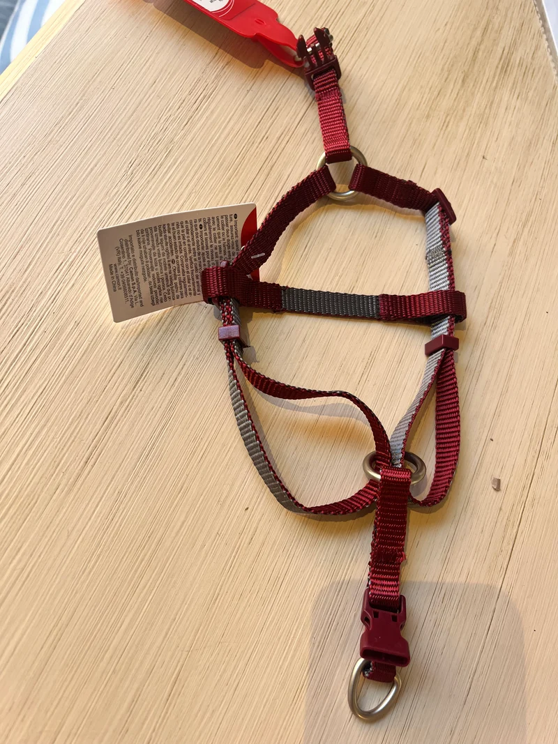 Pettorina Scapolare Bicolor "Double Premium" - Camon