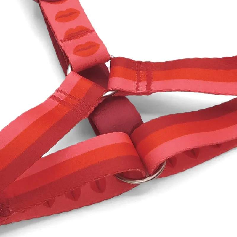 Pettorina H "Lipstick" RECYCLED - Morso
