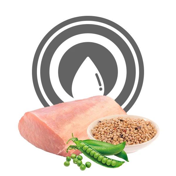 Exclusion Diabetic Maiale All Breeds Alimento per Cani con Diabete 400 g