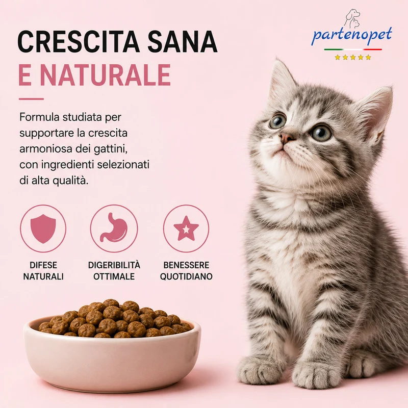 Partenopet Cat Kitten Maiale Pressato a Freddo 1,5 kg