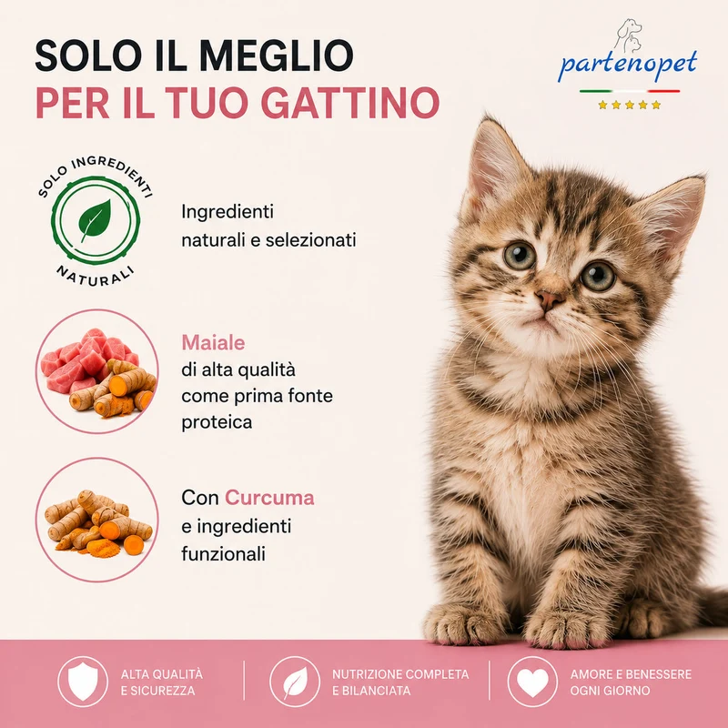 Partenopet Cat Kitten Maiale Pressato a Freddo 1,5 kg